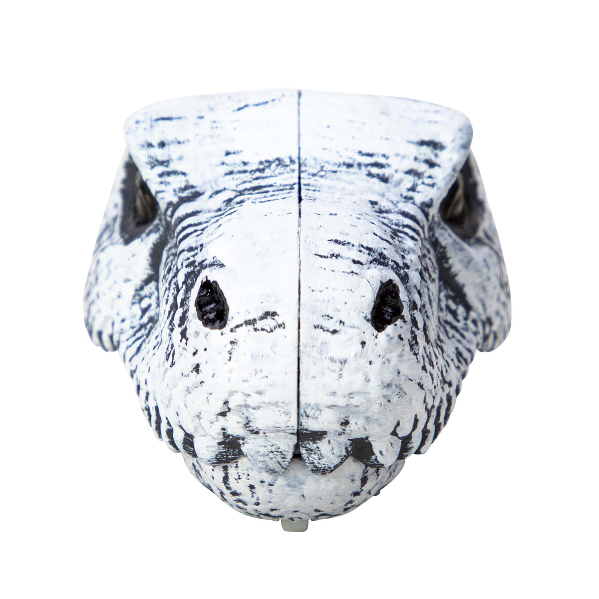 CHOMP & GO DINO SKULLS - US 1375