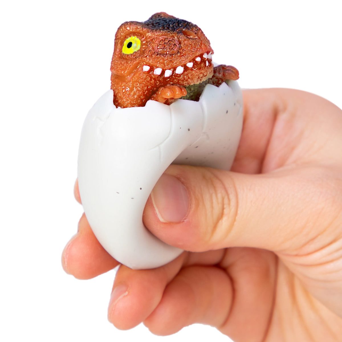 DINO – SQUEEZY PEEK HATCHERS - US 1017
