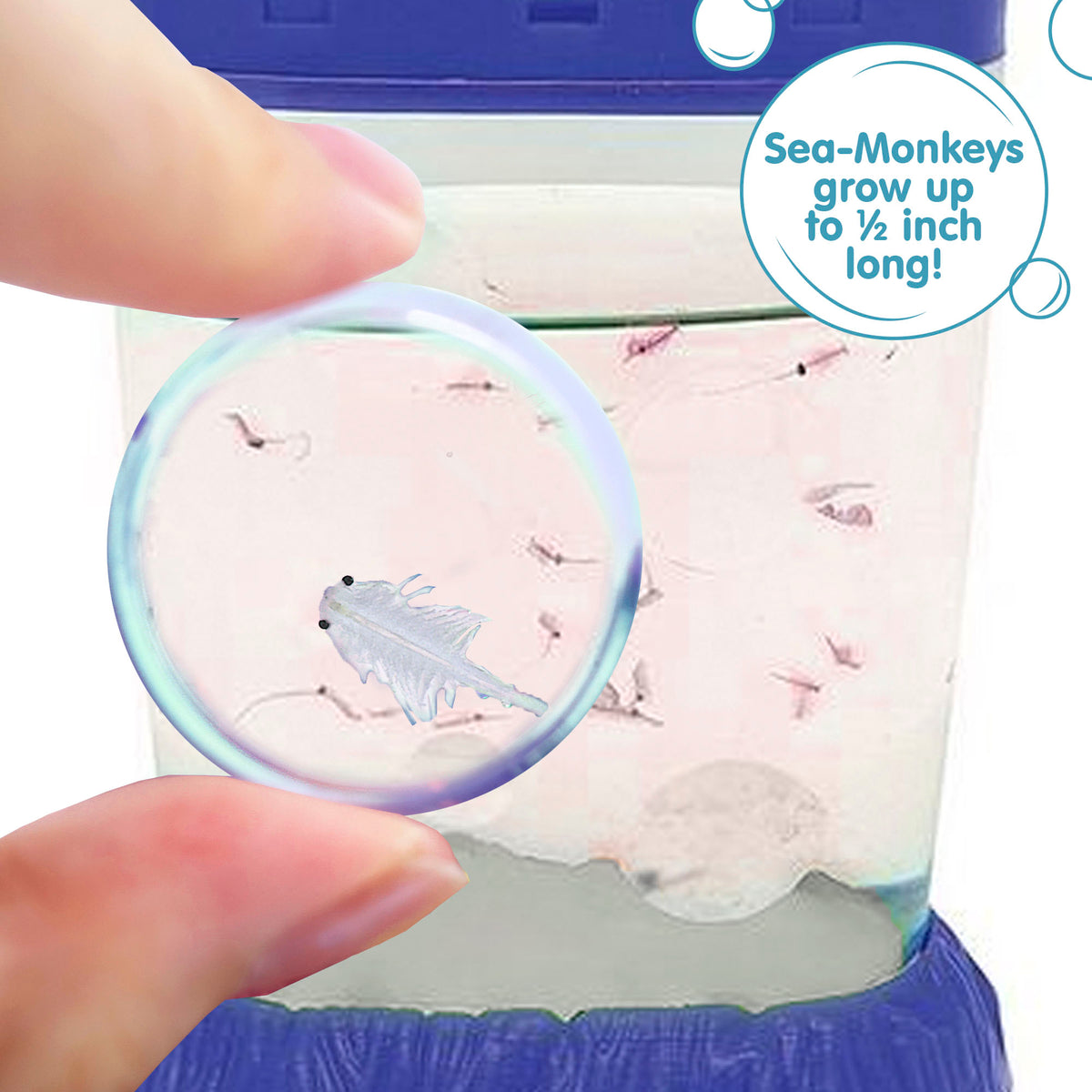SEA-MONKEYS MAGIQUARIUM - US 0419