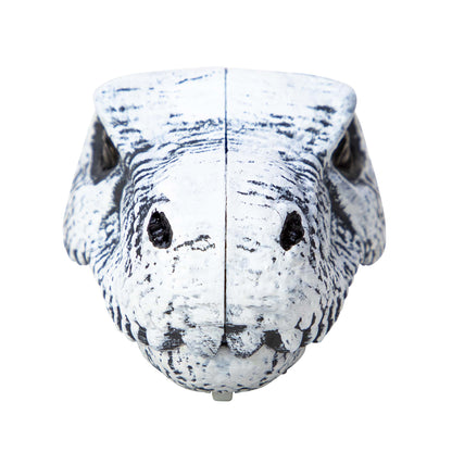 CHOMP & GO DINO SKULLS - US 1375