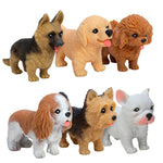 POCKET PUPS – SERIES 2 - US 5786
